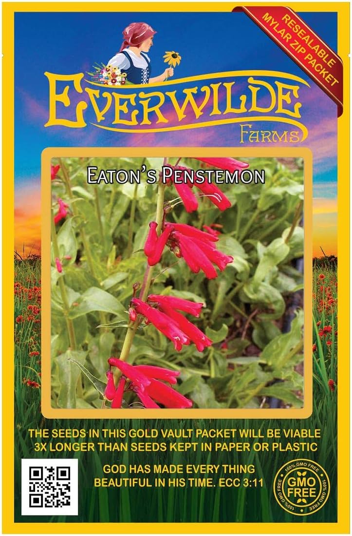 Everwilde Farms - 800 Eaton's Penstemon Native Wildflower Seeds - Gold Vault Seed Packet