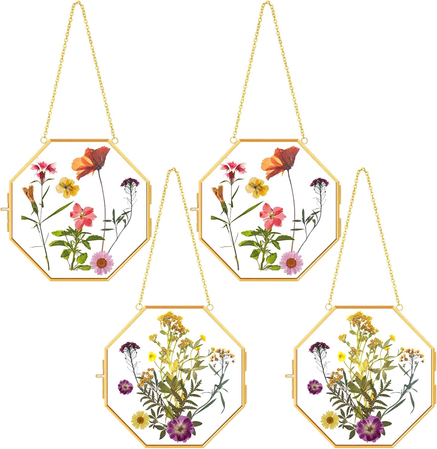 Tioncy 4 Pcs Pressed Flower Frame Brass Hanging Glass 6 x 6 Inch Clear Gold Double Floating Frame with Chain Regular Octagon Picture Display for Pressed Flowers Plant Specimen Vintage DIY Wall Artwork