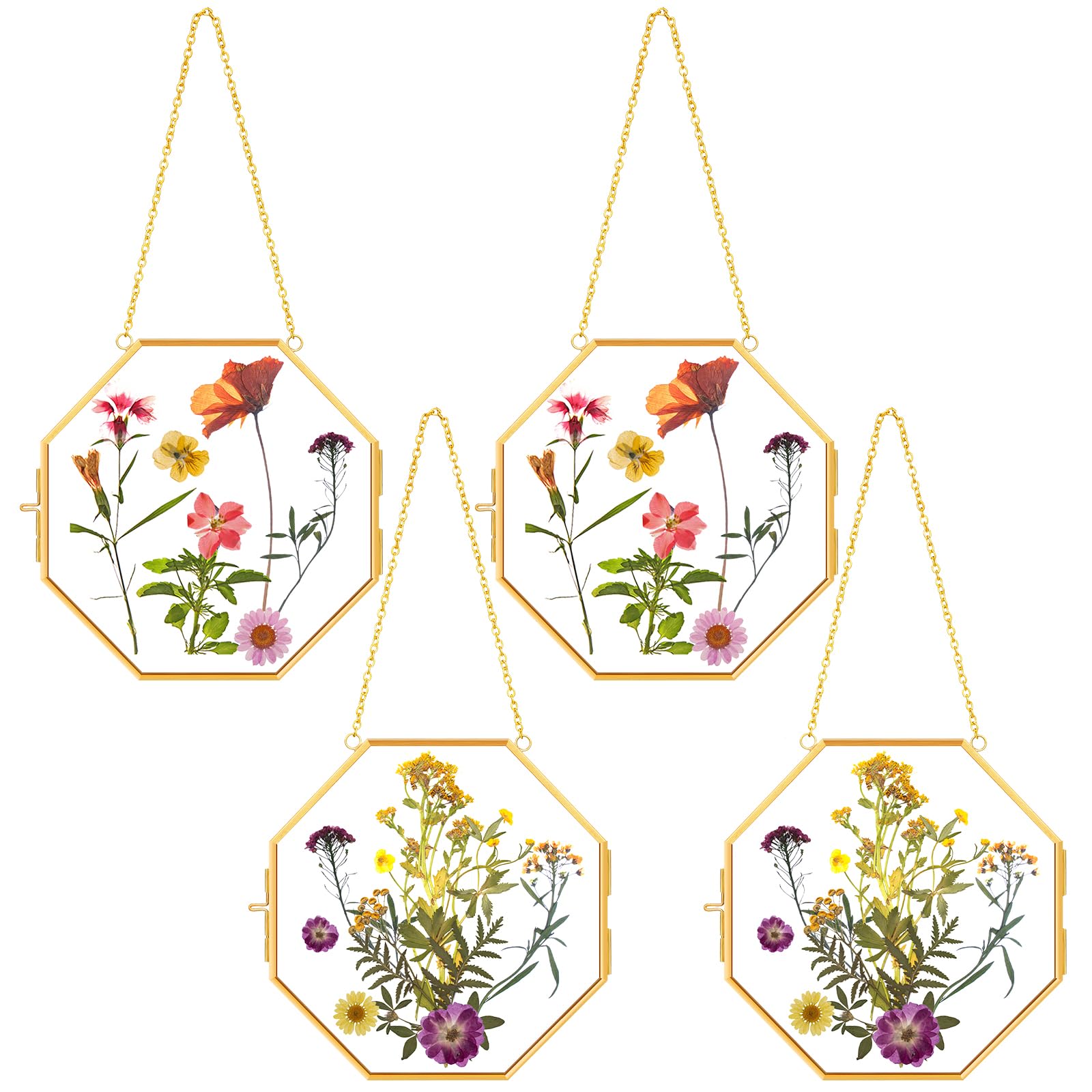 Cadre de fleurs pressées en laiton transparent doré pour spécimen de plantes 15cm