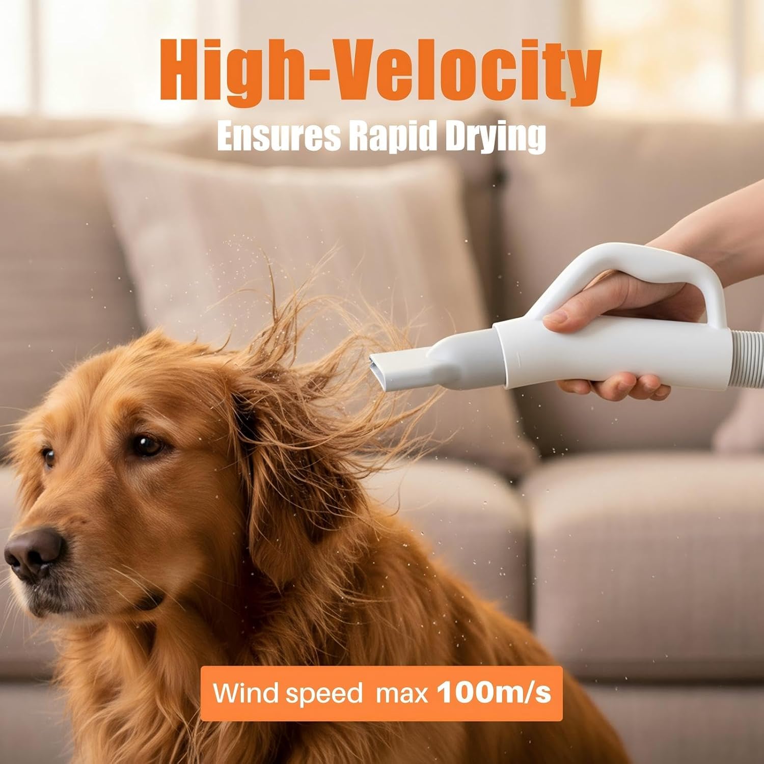 NEWBULIG Dog Hair Dryer, 1550W High Velocity Pet Blow Dryer with Heater for Grooming, Speed Temperature Adjustable Dog Blower Grooming Dryer with 4 Nozzles, White