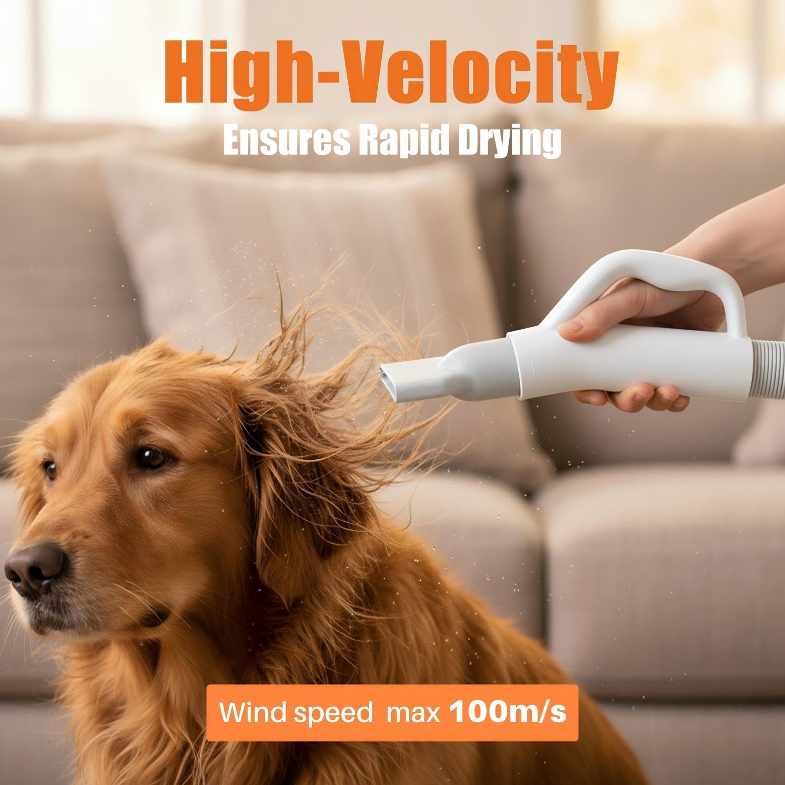 NEWBULIG Dog Hair Dryer with Heater for Grooming, High Velocity Speed view 4