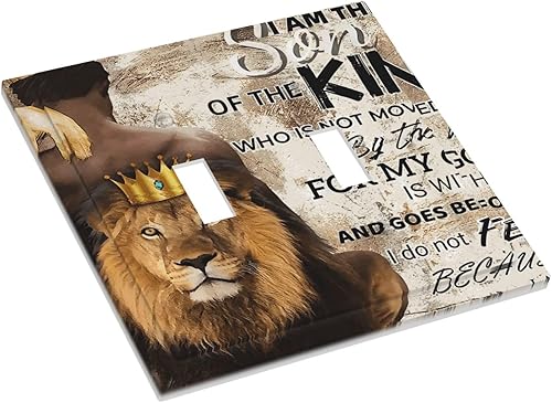 Vista 870 de Placa de pared con interruptor de luz de doble interruptor de pared para niños, diseño de dinosaurio, galaxia, espacio exterior, planeta, nebulosa