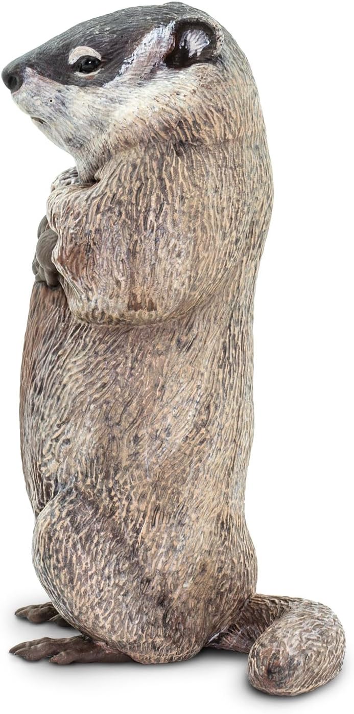 Safari Ltd. Groundhog - Lifelike 4.5" Model Figure - Educational Toy for Boys, Girls and Kids Ages 18 Months +