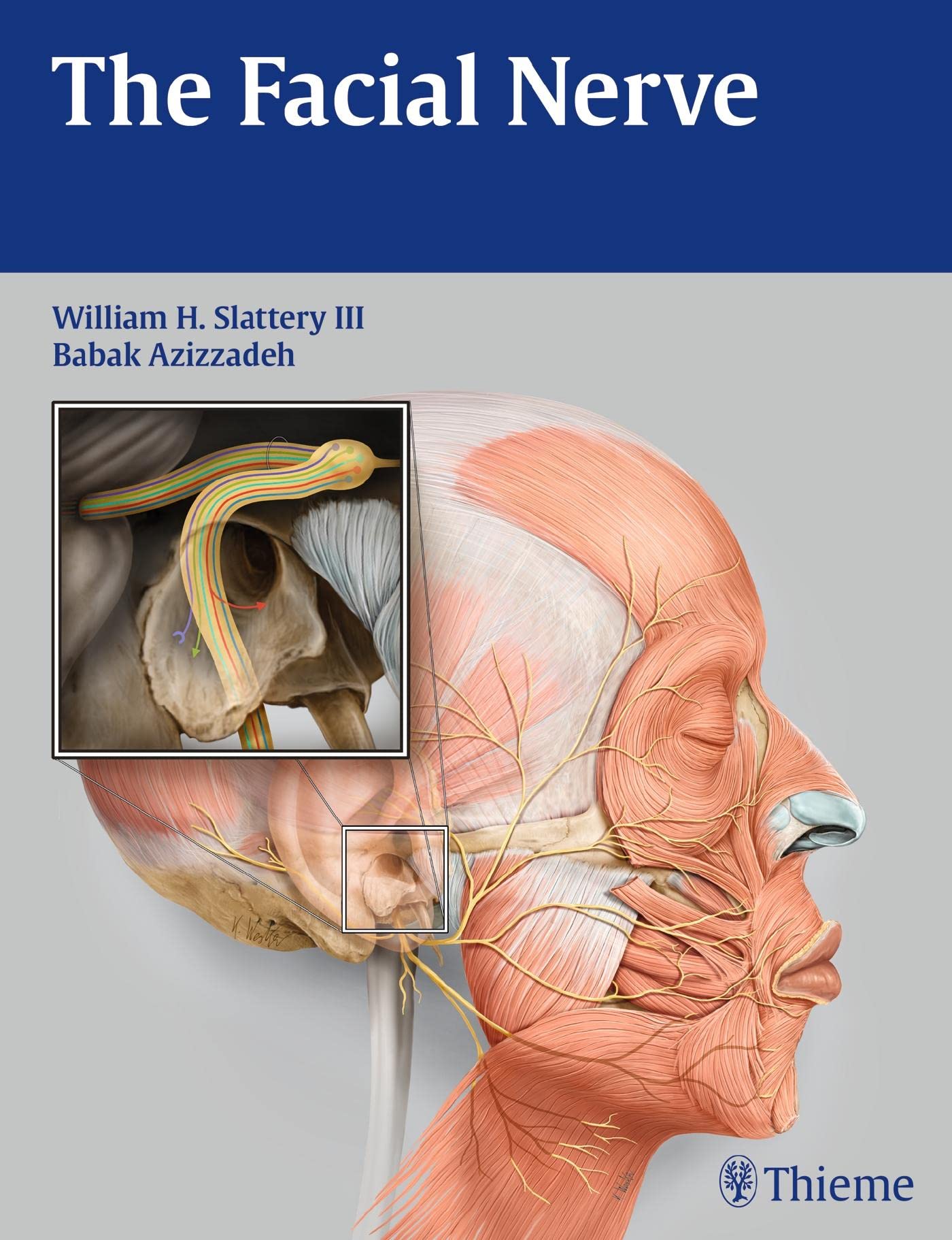 Buy The Facial Nerve — BookShops.in
