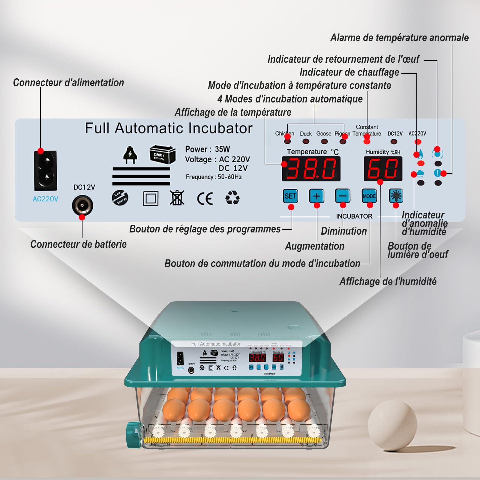 CoInceptus Couveuse Oeuf Automatique, Incubateur Oeuf Automatique 24-36 Oeufs avec Retournement Automatique des Oeufs et Humidification Automatique, Couveuse pour Oeufs de Poule, Caille, Canard