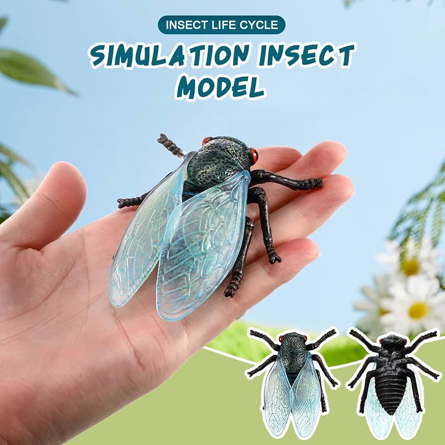 せみのようきゅう 71caPSVlIkL._UF894,1000_QL80_.jpg