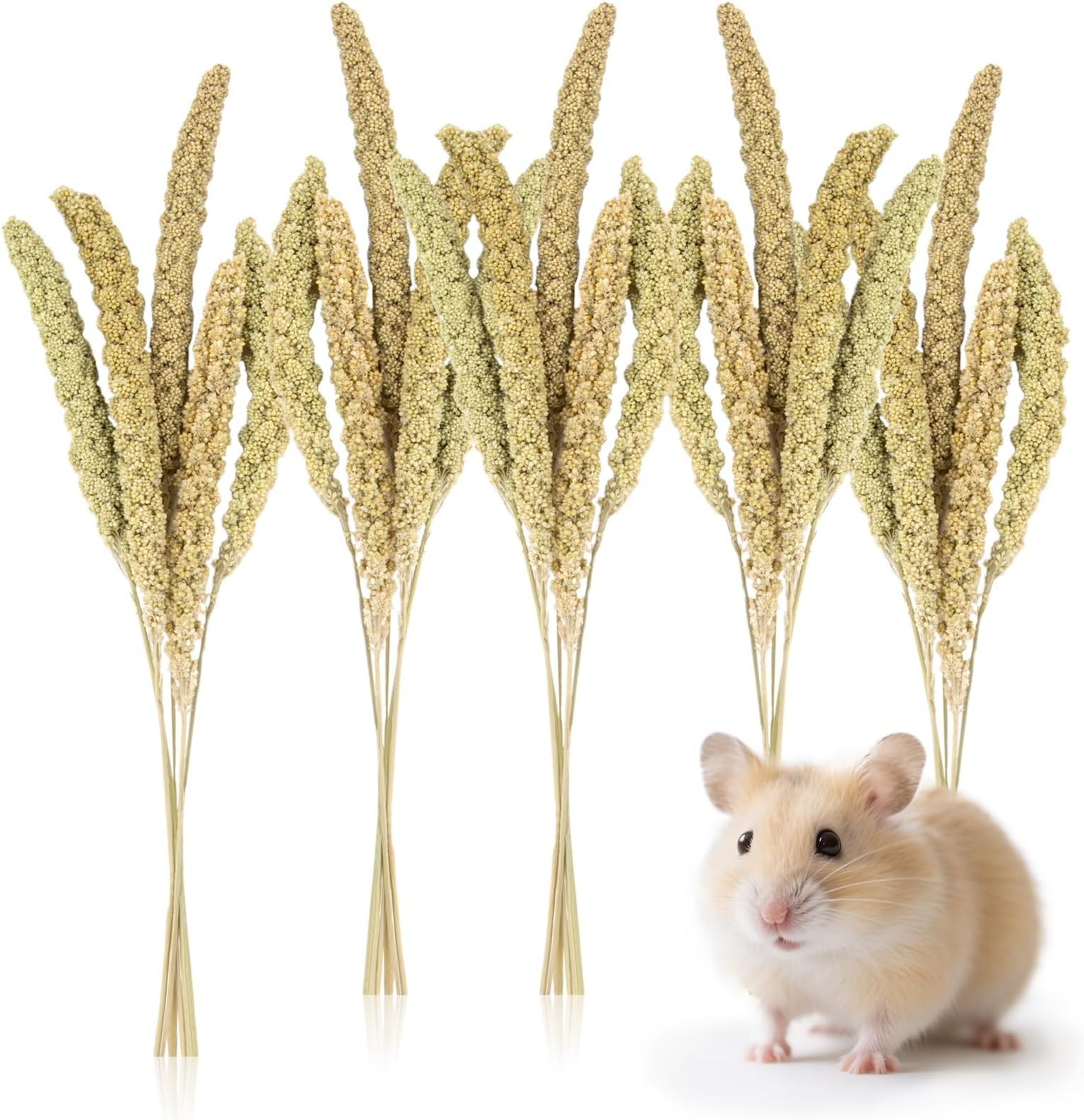 Sukh Hamster Millet Sprays - 30Pcs Natural Millets 12.6In Hamster Bedding Decor Cages and Habitats Accessories Spray for Dwarf Syrian Hamsters Chinchilla Squirrel and Birds