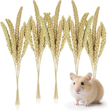 Sukh 30 Pcs Natural Millet Spray - 12.6in Hamster Cage Accessories Decor