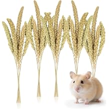 Sukh 30 Pcs Natural Millet Spray - 12.6in Hamster Cage Accessories Decor
