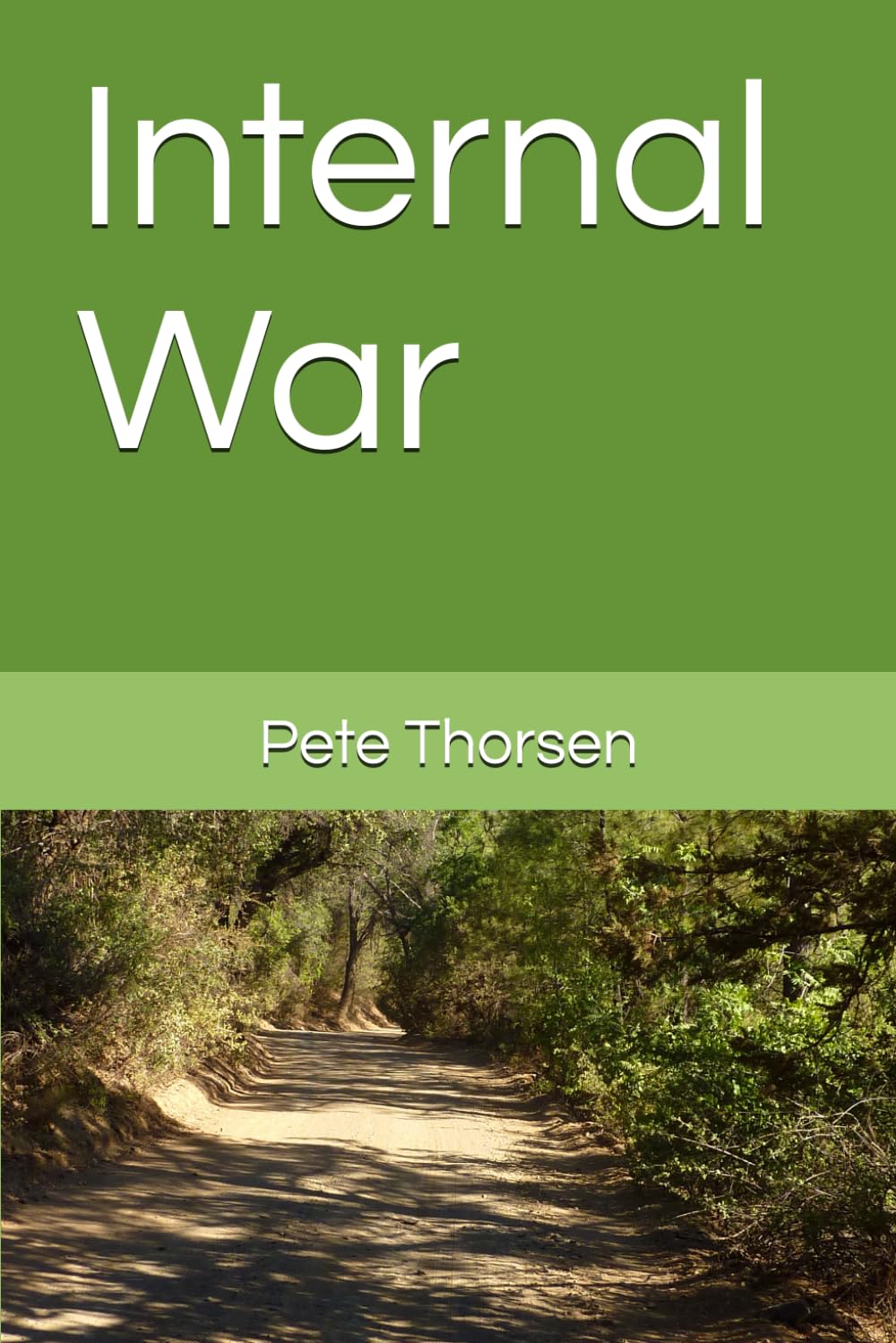 Internal War