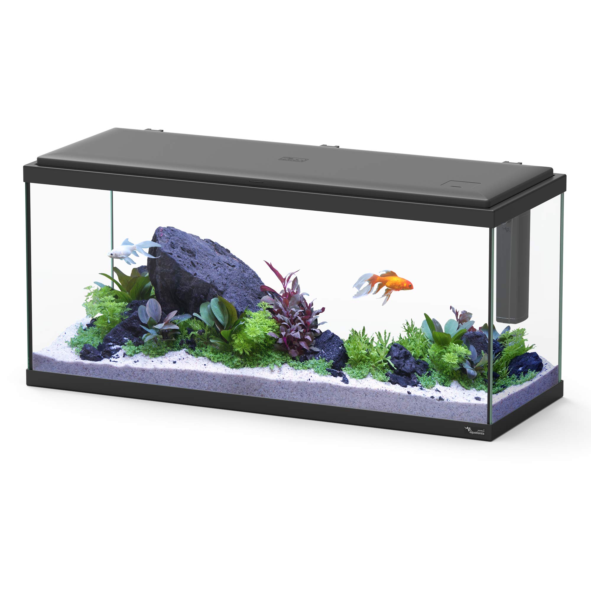 Aquatlantis Acuario Explorer Amsterdam Negro