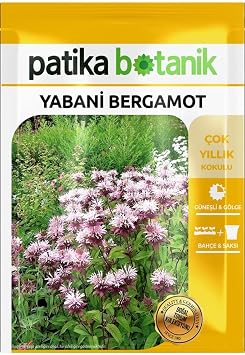 50 Adet Yabani Bergamot Çiçek Tohumu