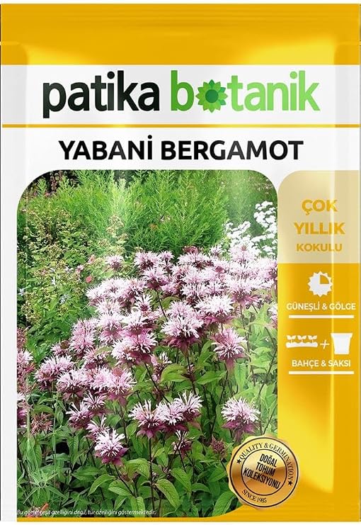 50 Adet Yabani Bergamot Çiçek Tohumu