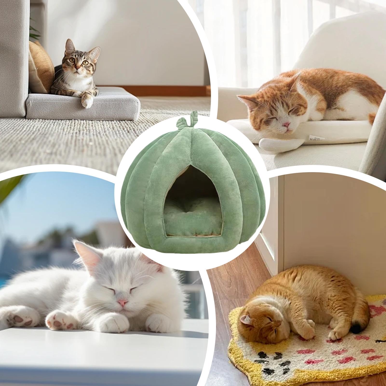 Cuccia per gatti di Halloween, cuccia per gatti, cuccia chiusa, cuccia per | gatti, cuccia per Halloween, cuccia per gatti, cuccia per gatti, cani di piccola taglia, inverno, casa, interni