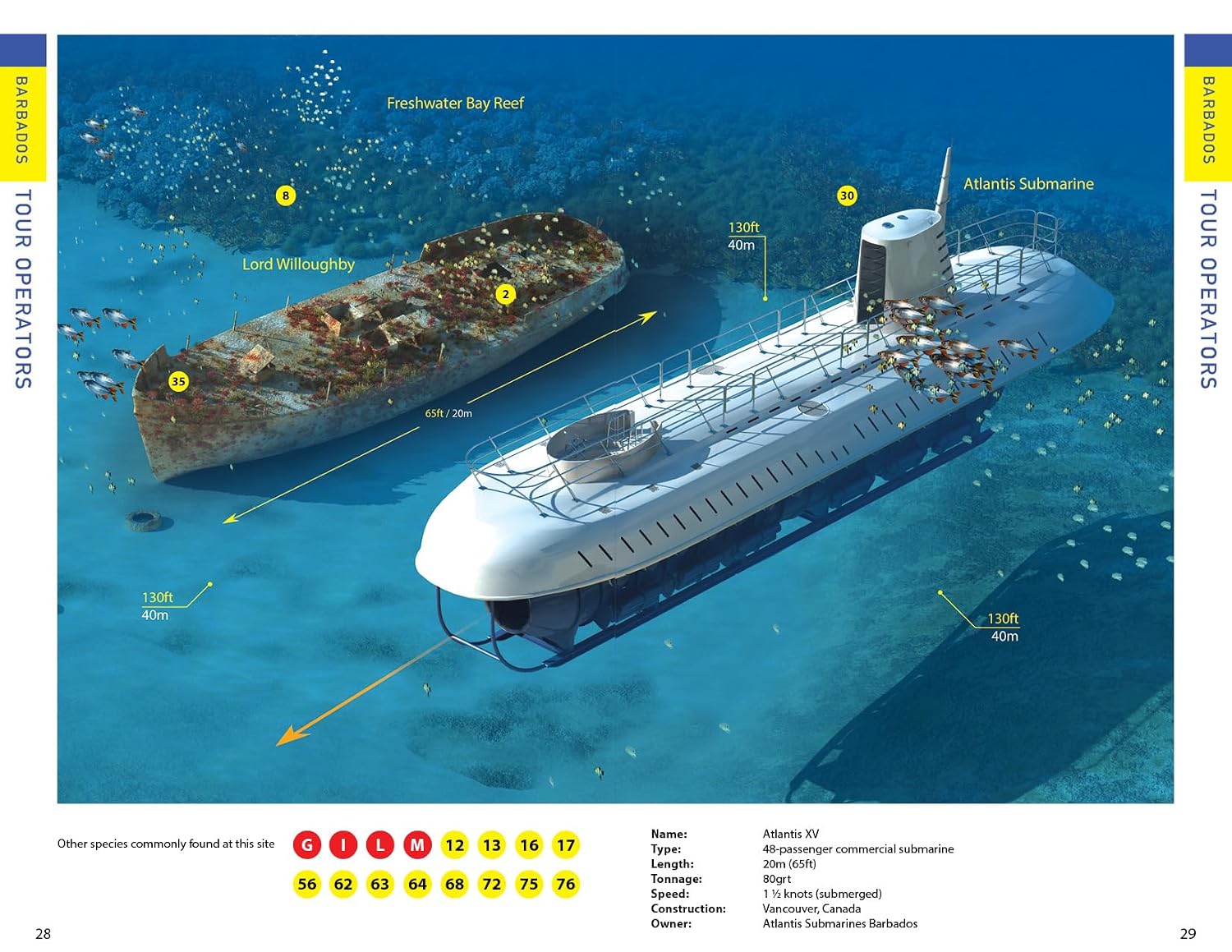Reef Smart Guides Barbados: Scuba Dive. Snorkel. Surf. (Best Diving Spots in the Caribbean's Barbados)