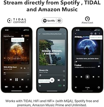 WiiM Mini Music Streamer for Stereo Systems with AirPlay 2 & Hi-Res Audio | Upgrade Your Stereo with Hi-Res Streaming, AirPlay 2, Spotify Connect, Alexa Control, and Multi-room Audio