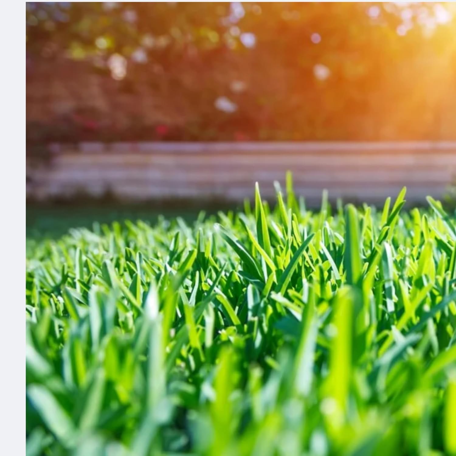 Bad Boy Gator Mulching Mower Blades 54 Inch Deck Zero Turn Models Durable Precision-Balanced Steel Construction Accurate Fit OEM Supplier Grade Replacement for Part 038-0003-00 HeavyDuty - (Set of 3)