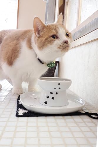 Miniatura 9 de Necoichi Bandeja de comedor elevada para gatos (blanco, individual)