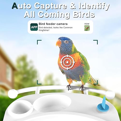 Miniatura 3 de XINYA BAO Comedero inteligente para pájaros con cámara AI para identificar especies de aves, vista en vivo, observación de aves, captura automática