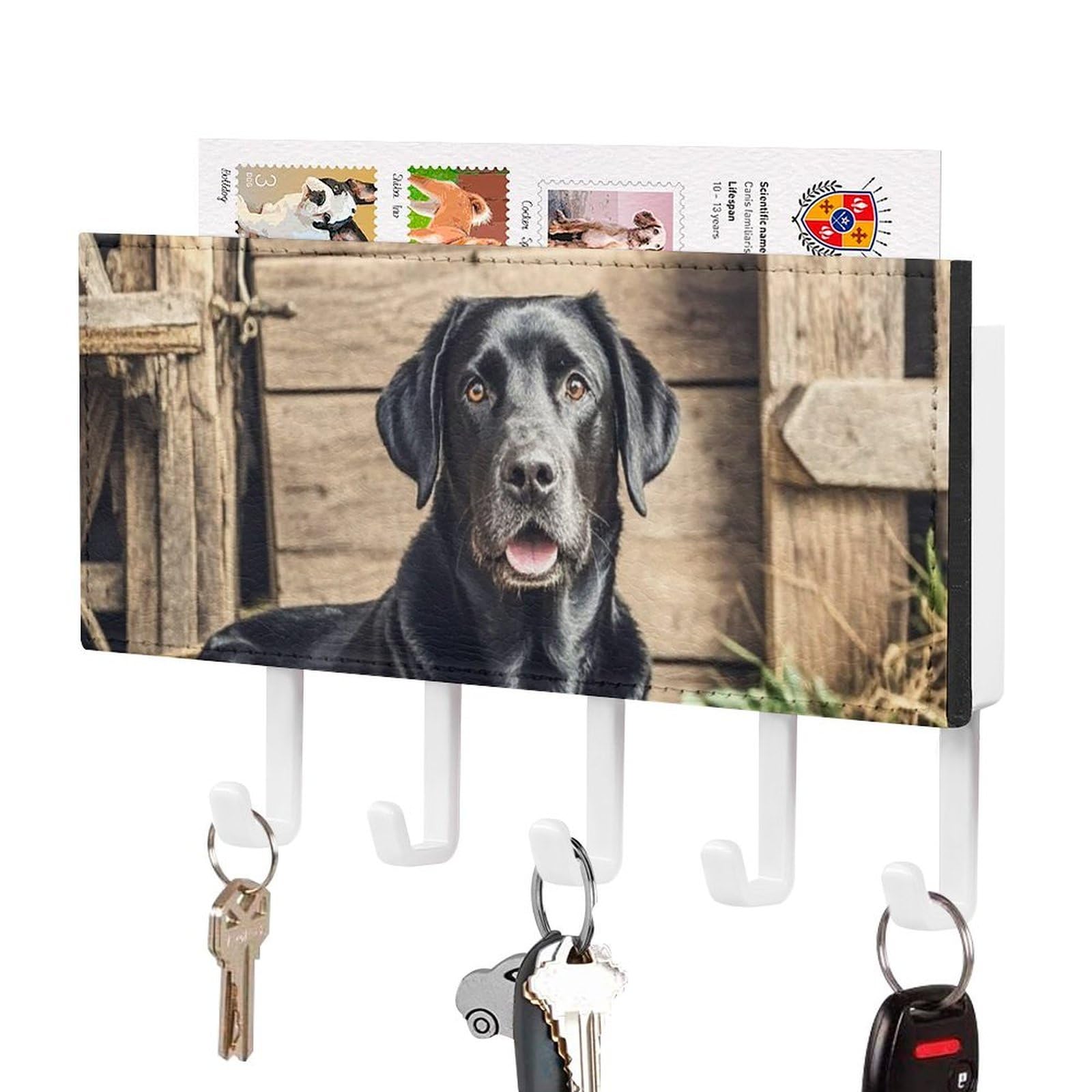 Fekiloot White-Style Black Labrador Key Holder Wall Mount Key Hanger With 5 Hooks Decorative Key Rack Hanging Key Hooks With Mail Organizer Key Holder For Wall Living Room Kitchen Bathroom Hallway White