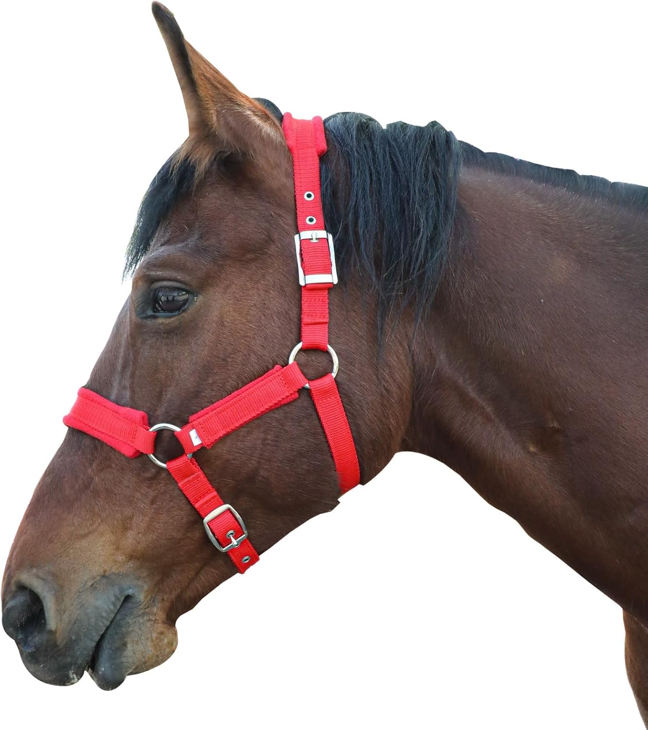 Horse Halter with Wool Lining, Adjustable Halter for Horses Satin Hardware to Prevent Friction, Breakaway Halters for Horses，Fits Pony, Yearling, Draft Horses (Red, M)