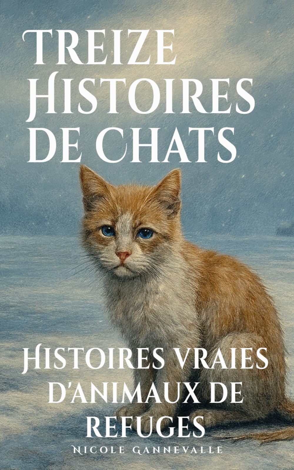 Treize histoires de chats: Histoires vraies d'animaux de refuges (Collection d'histoires vraies d'animaux de refuges)