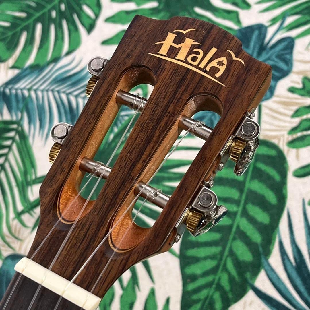 【Hala ukulele】マホガニー単板のコンサートウクレレ【ウクレレ専門店】 Amazon.co.jp: Hala ukulele マホガニー単板のコンサートウクレレ