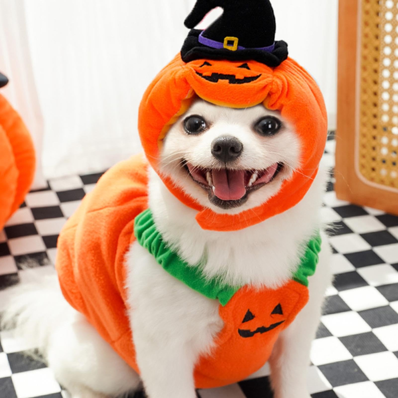 Halloween Haustier Kostüm,Hundekostüm Spinne , Pl Produktbild-Vorschau 4