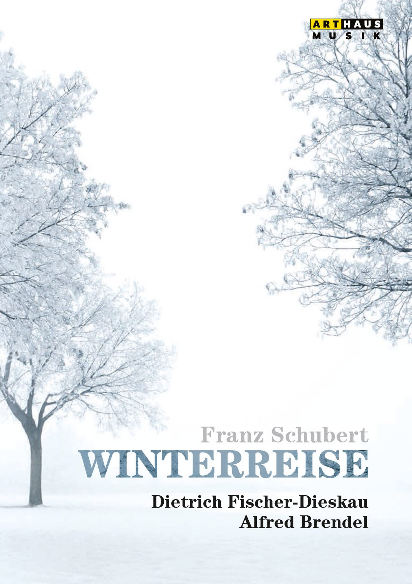Álbum Winterreise [DVD] para tardes de ópera en casa y audición clásica relajante de Schubert