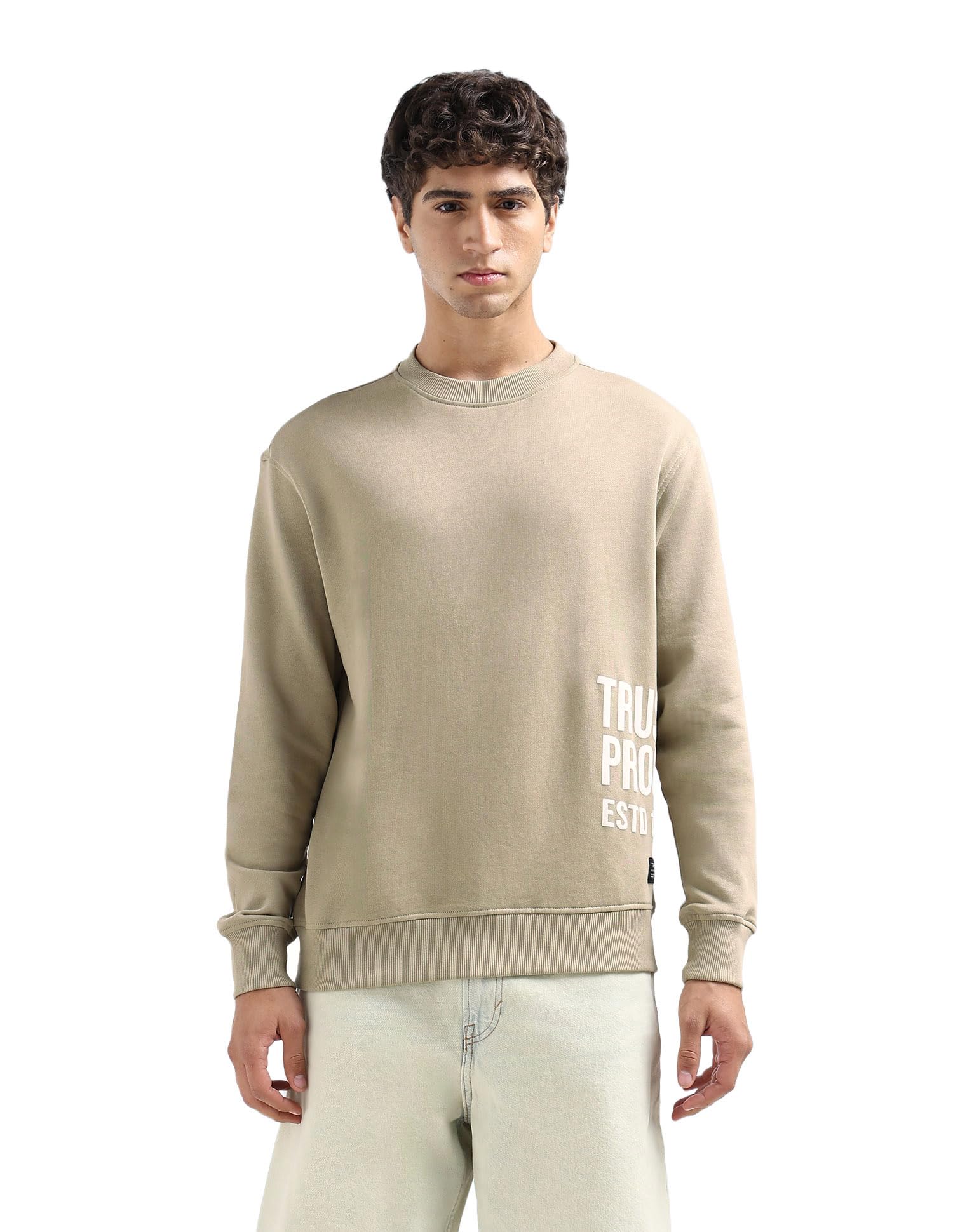 flying machine Men's Relaxed Fit Sweatshirt| Printed-picture-53