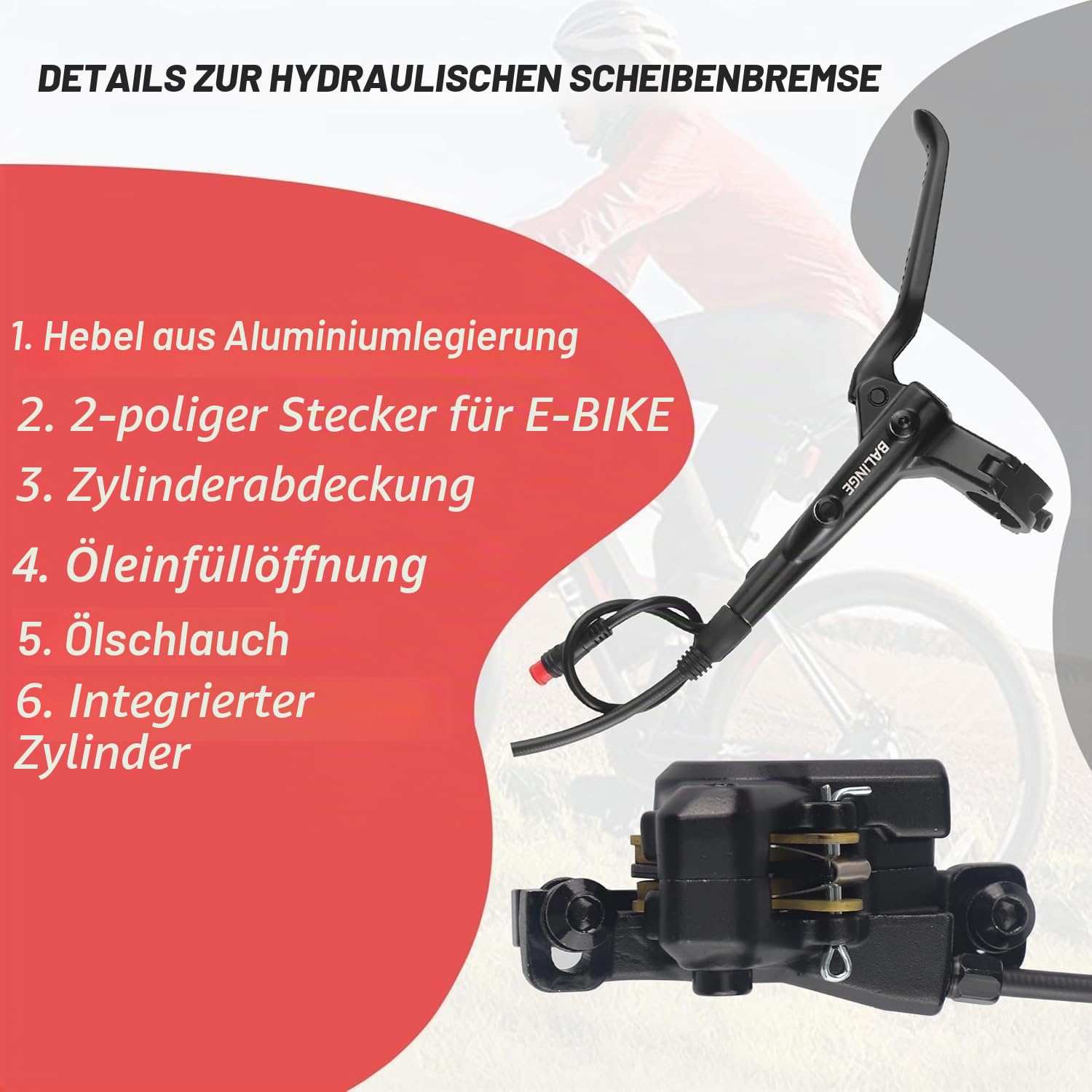 ZUKKA MTB Hydraulisches Scheibenbremsen Set und 2 6-Loch Scheibe 160 mm Disc Bremsscheiben für MTB, Elektrofahrrad Links Vorne 800mm Hinten Rechts 1550mm