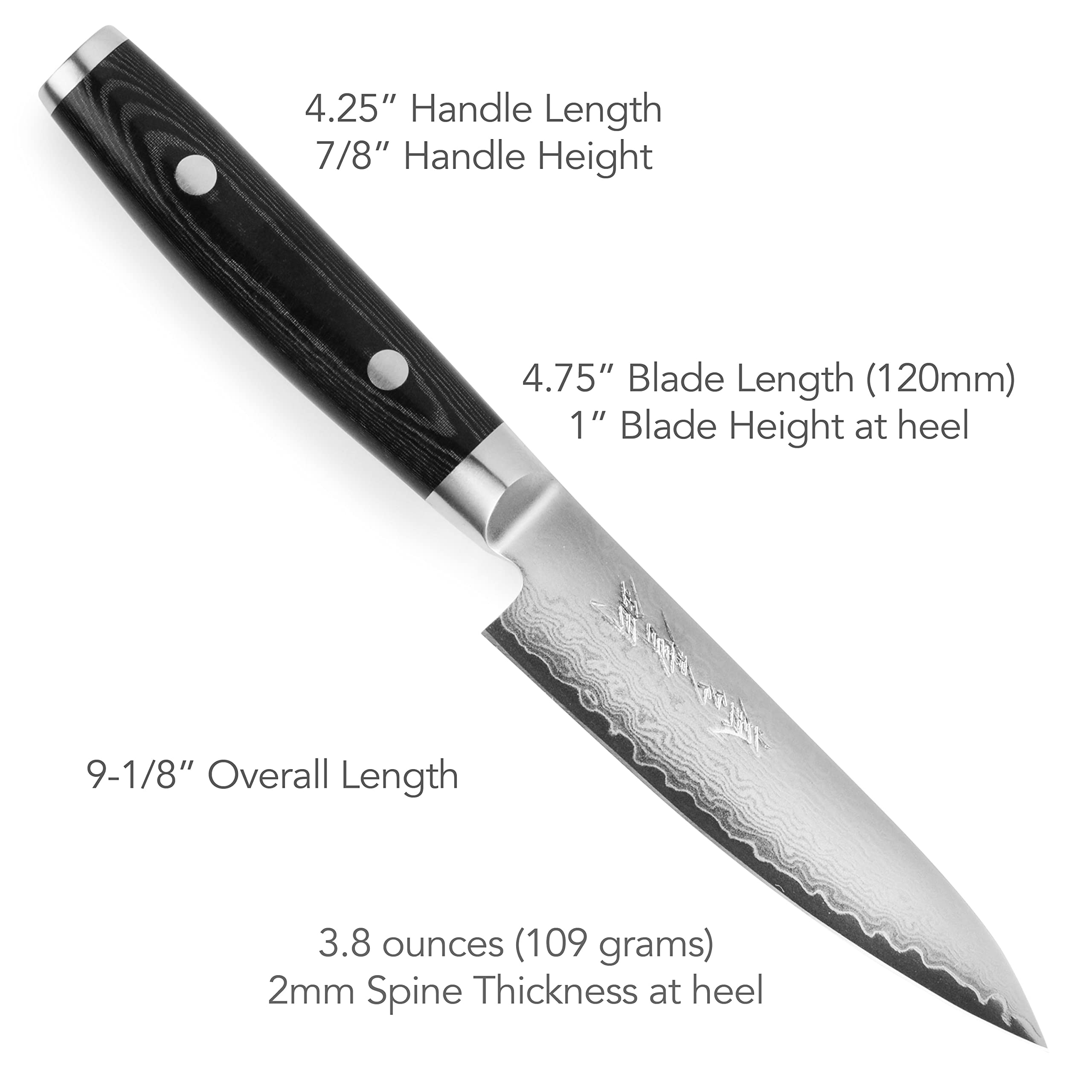 Amazon.com: Yaxell Ran Plus 4.75