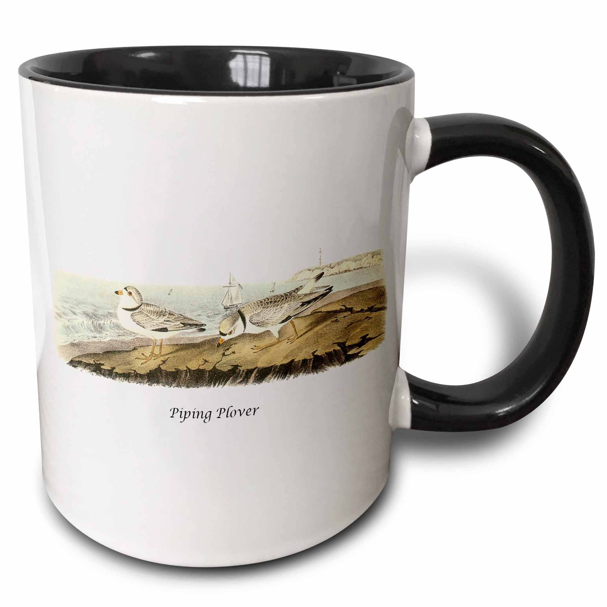 3dRose Piping Plover by John James Audubon Two Tone Mug, 11 oz, Black/White