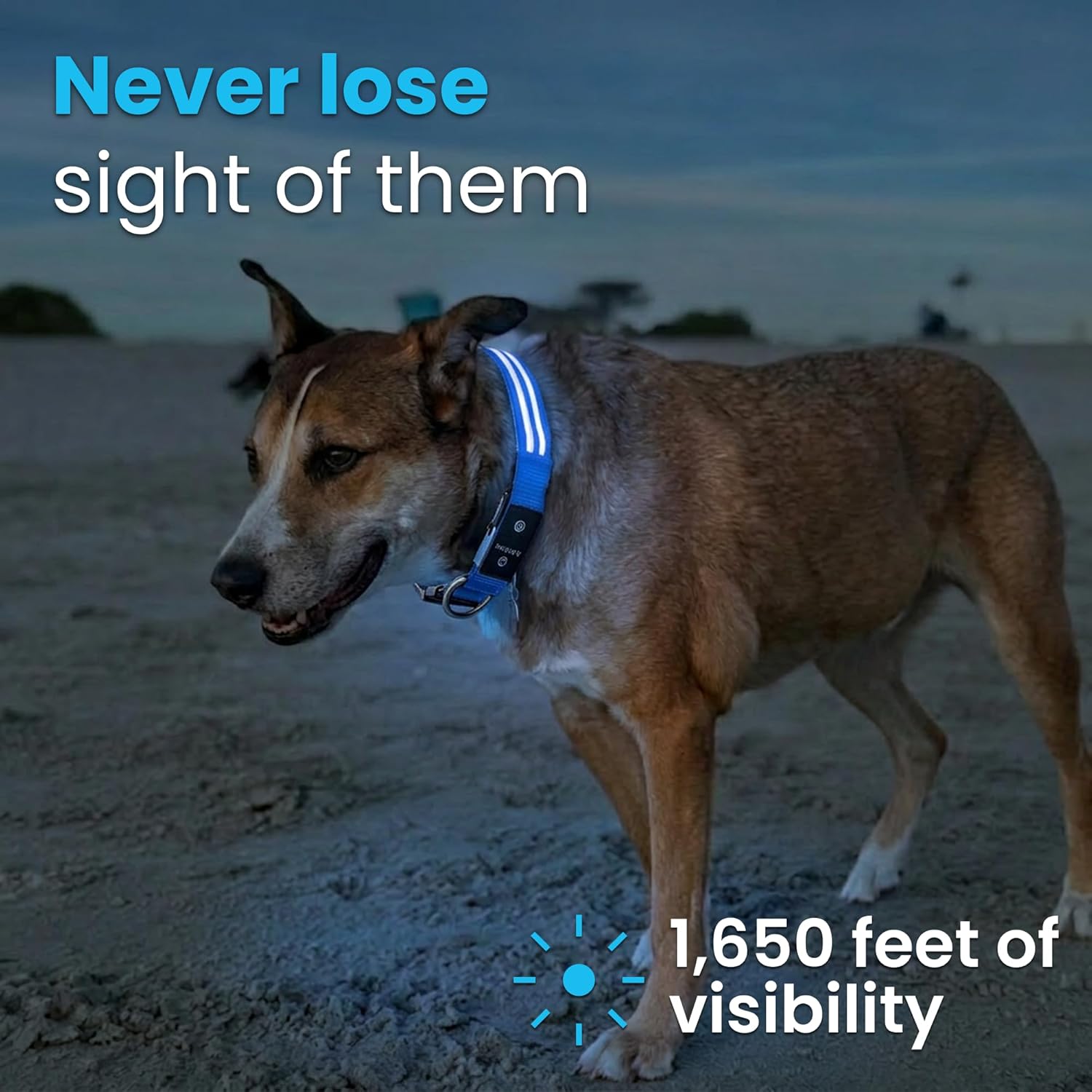 Tractive Smart Dog GPS Collar | Live Pet Tracker with Virtual Fence | Vital Signs Monitoring of Heart & Respiratory Rate | Bark Monitoring | LED Dog Collar (Blue, Medium)