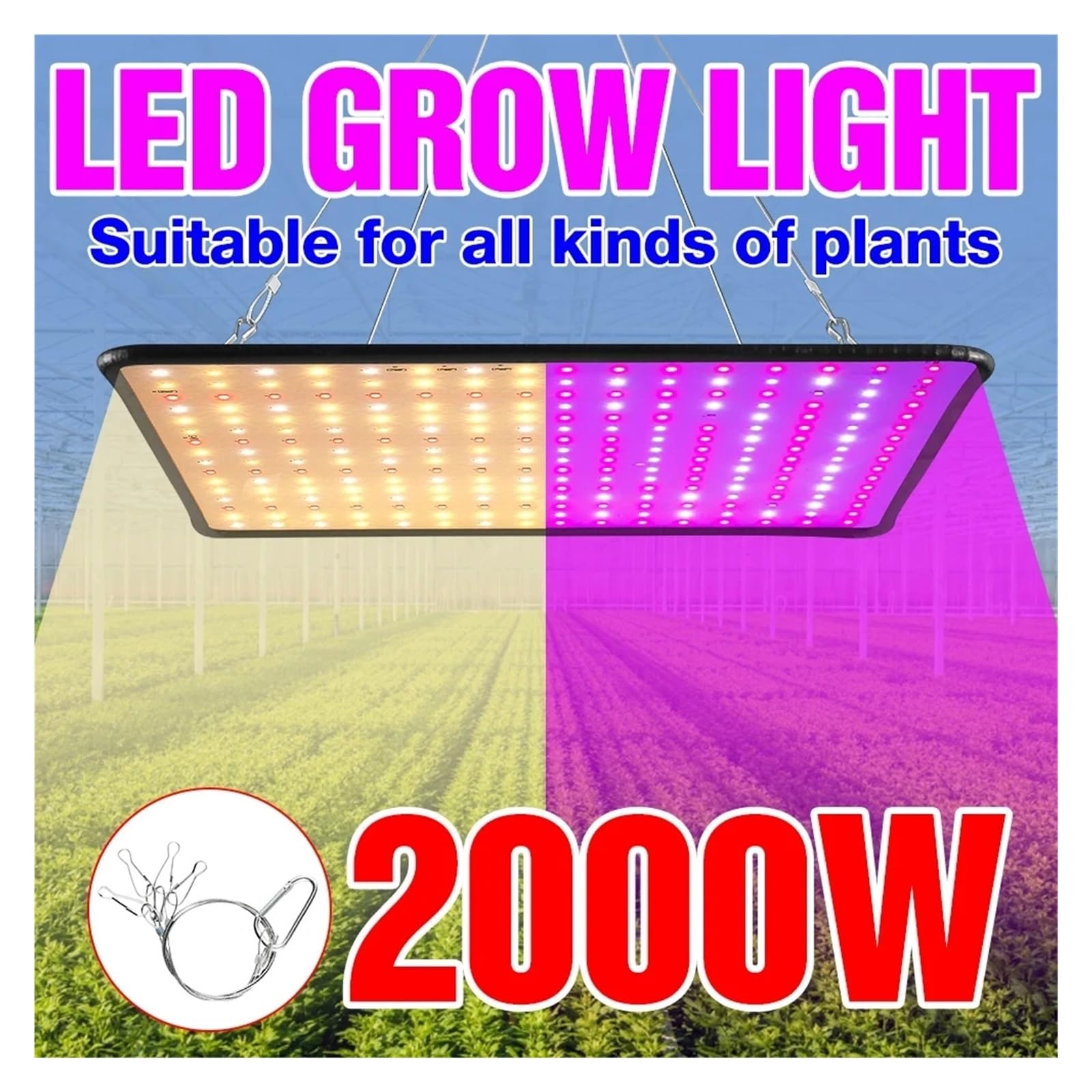 Lámpara de cultivo, Lámpara LED de espectro completo for cultivo, bombilla Phyto, luz for crecimiento de plantas, 1000W, 2000W, luz hidropónica, tienda de semillas de flores for interiores(2000W-A)