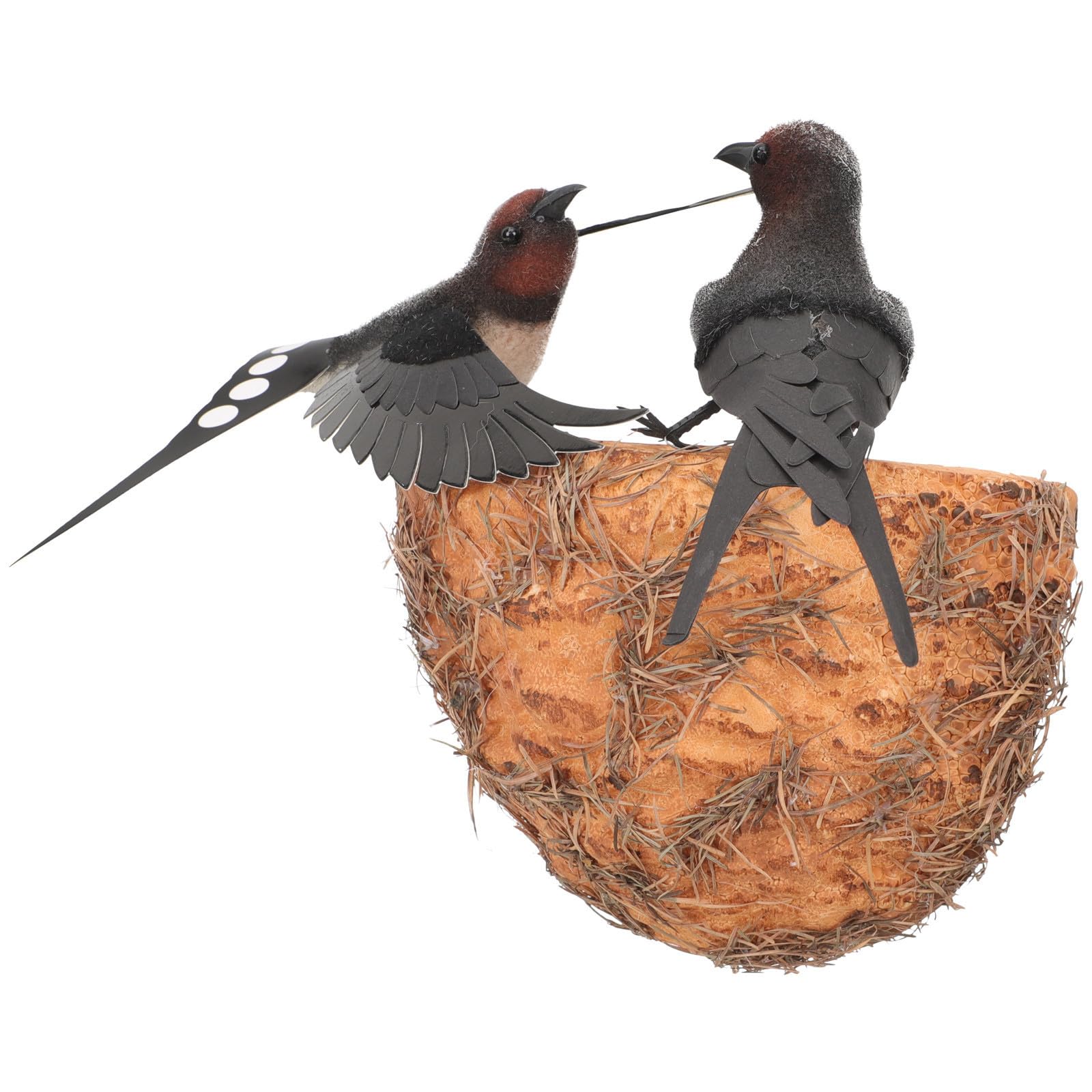 Golondrinas de simulación de resina plumas con apariencia delicada