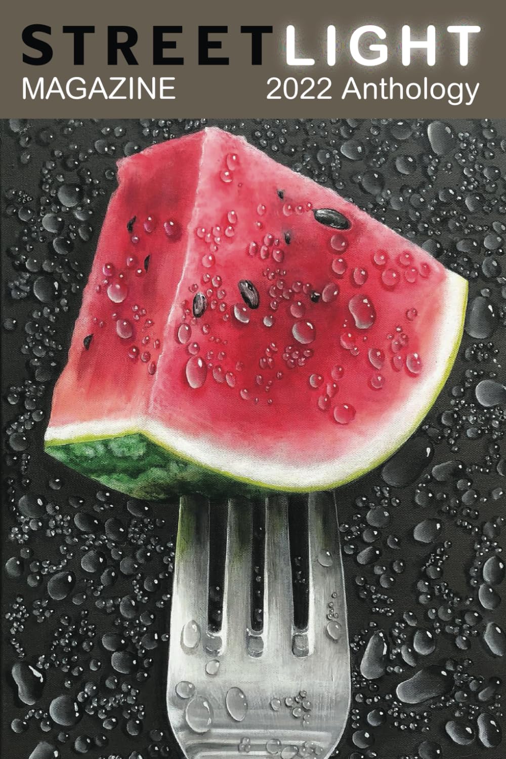 Streetlight Magazine 2022 Anthology (English Edition