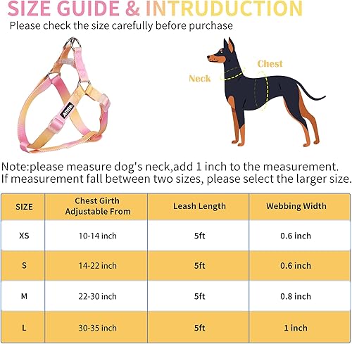 Miniatura 4 de AIITLE Juego de arnés y correa para perro, arnés halter ajustable sin tirones para mascotas con una correa de 5 pies, doble anillo en D, ajuste