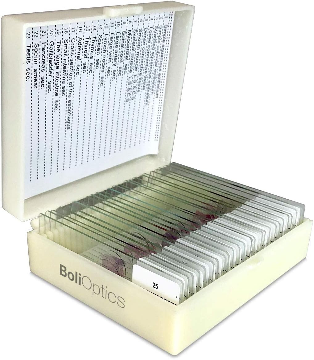 BoliOptics 25 Prepared Microscope Slides Human Biology Specimen Set Human Anatomy Organ Tissue Cells for Students Hobbyists Beginners Kids Homeschool Medical School, SL39901005