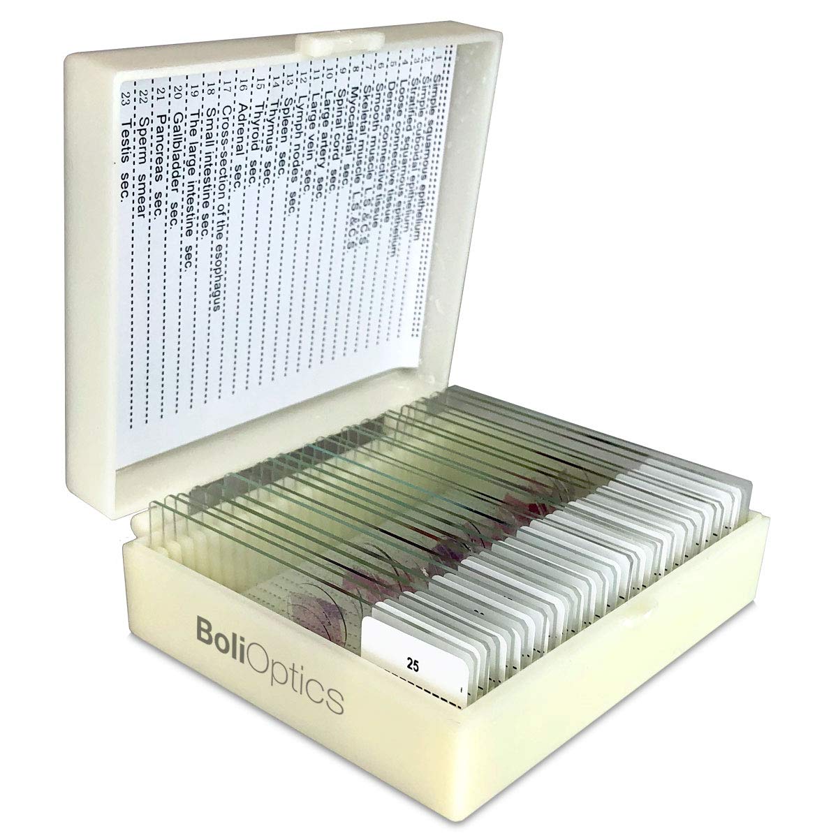 BoliOptics 25 Prepared Microscope Slides Human Biology Specimen Set Human Anatomy Organ Tissue Cells for Students Hobbyists Beginners Kids Homeschool Medical School, SL39901005