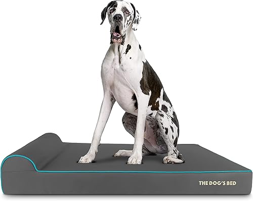 Miniatura 42 de Cama ortopédica para perro de la marca The Dog's Bed, espuma viscoelástica premium S-XXXL, impermeable, alivio del dolor de perro para la artritis,