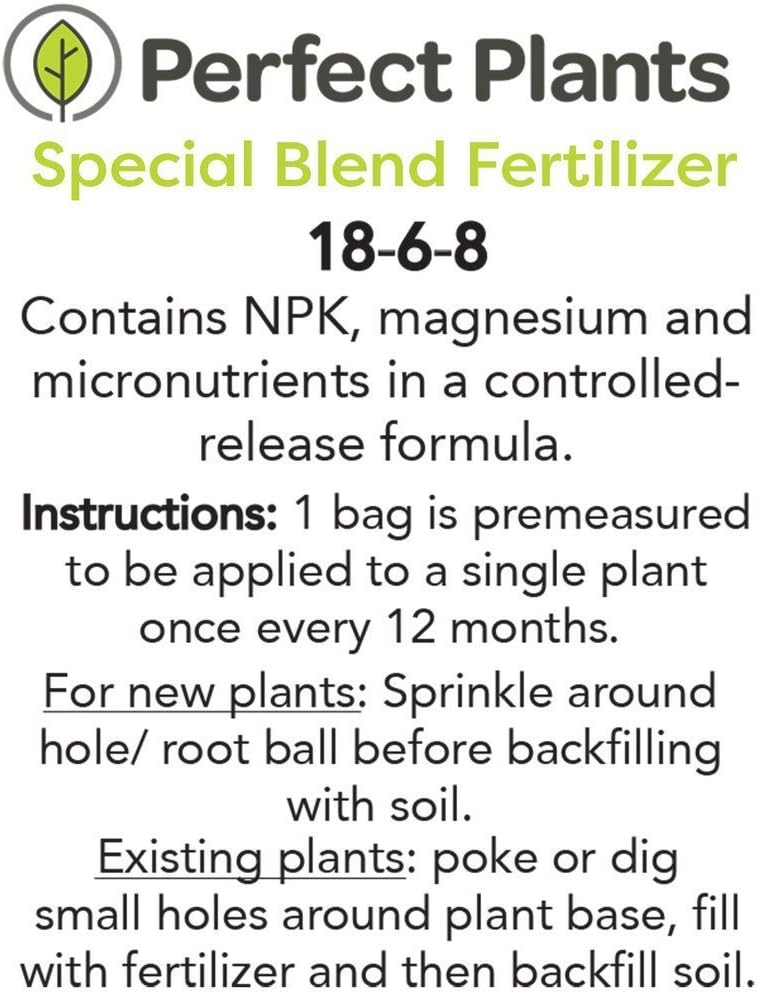 ANN Magnolia Tree - Size: 3 Gallon, Live Plant, Includes Planting Guide