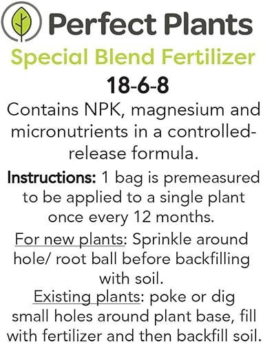 Miniatura 7 de Blue AGAPANTHUS - Tamaño: 1 galón, planta viva, incluye fertilizante especial mezcla y guía de plantación