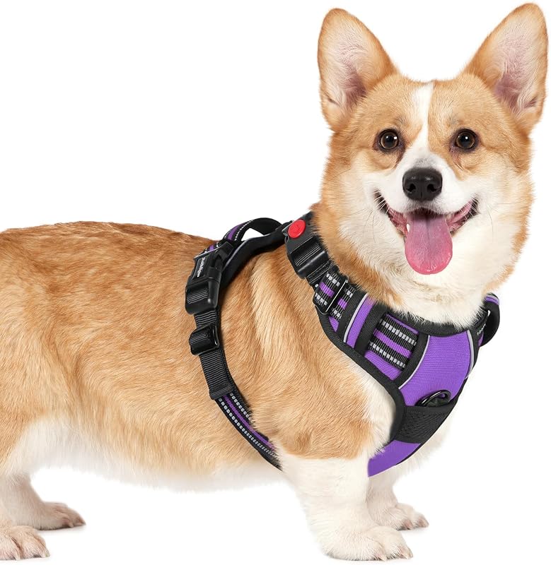 Peitoral Vest para Cães Pequenos rabbitgoo Ajustável com 3 Fechos e Faixas Refletivas