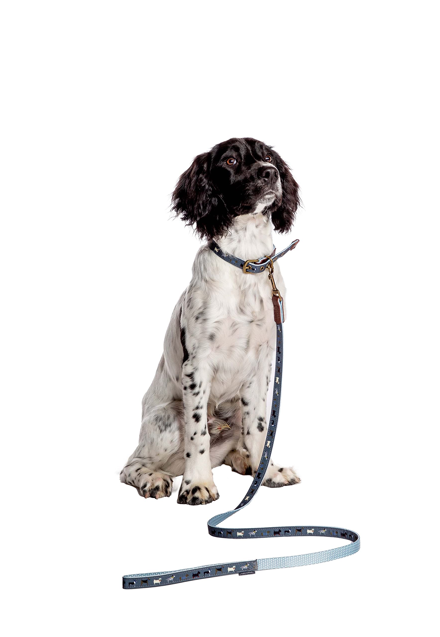 Beauty WaterFatFace Marching Dogs Lead Small 15mm 120cm