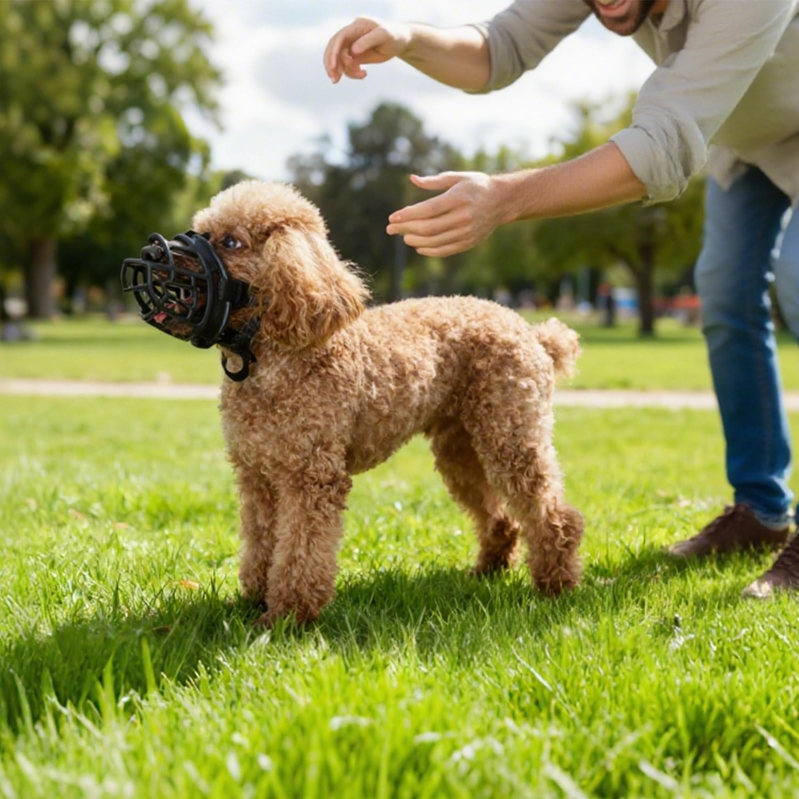 Museruola per Cani in TPE, Traspirante e Confortevole, Anti-Morso e Anti-Esche Tossiche, Adatta a Cani Piccoli, Medi e Grandi per Passeggiate, Addestramento e Visite Veterinarie(1#)