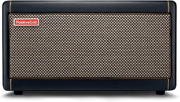 Protect'em Dust Covers with Padding for Positive Grid Spark Amplifier, Black