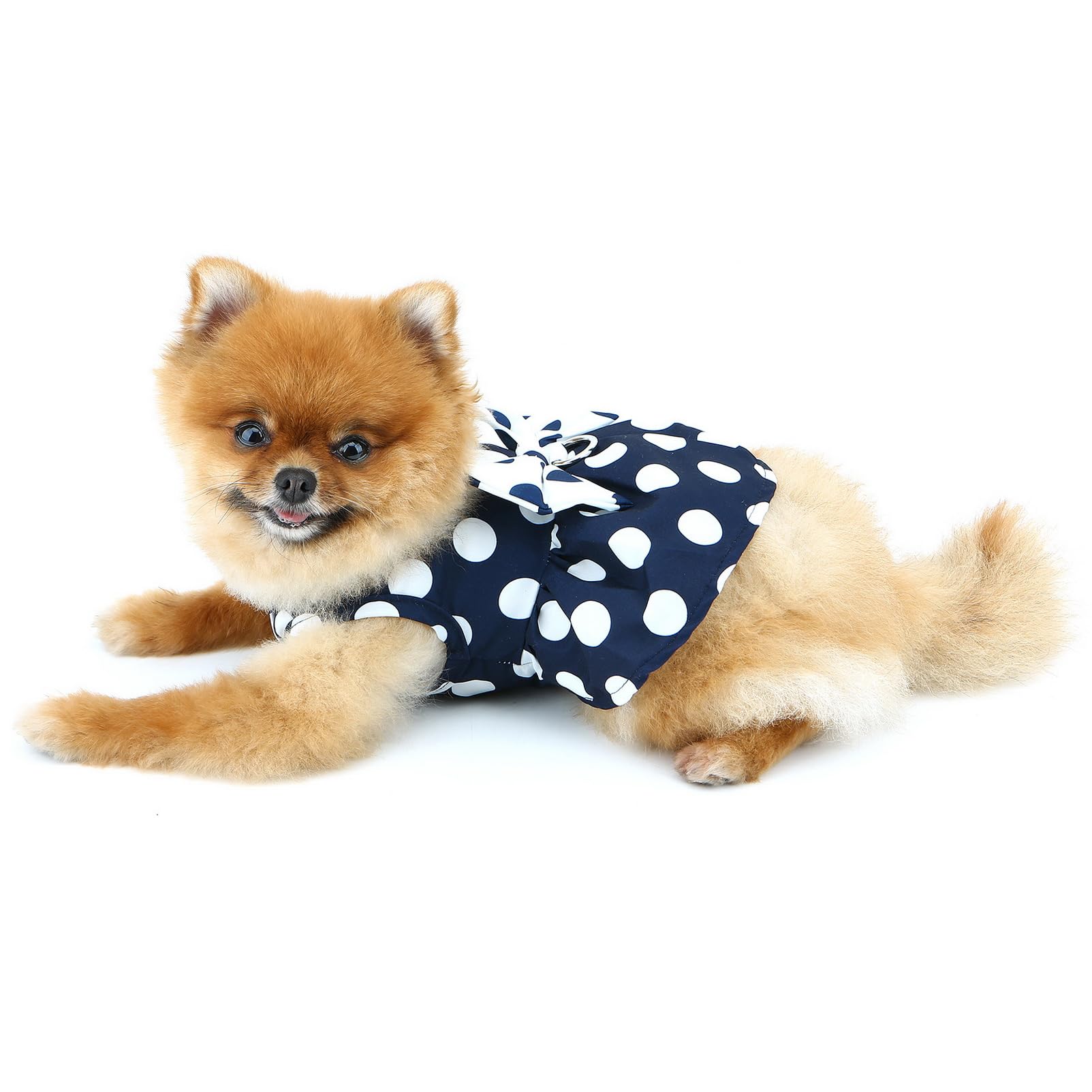 SMALLLEE_LUCKY_STORE Robe harnais à pois pour petit chien et fille – Robe harnais avec anneau en D et nœud – Vêtement respirant pour animal domestique – Vêtements pour chihuahua, yorkshire, chat,