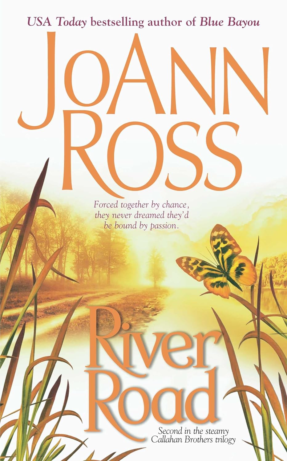 Amazon River Road (The Callahan Brothers series Book 2) (English
