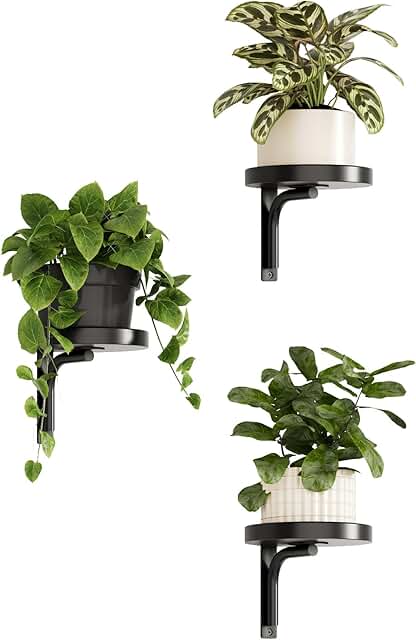 Bamworld 3 Pcs Wall Plant Holder Wall Mounted Plant Holder Hanging Plant...